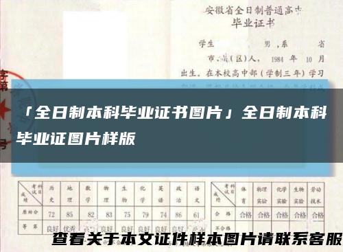 「全日制本科毕业证书图片」全日制本科毕业证图片样版缩略图