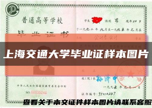 上海交通大学毕业证样本图片缩略图