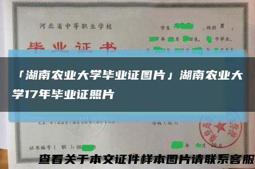 「湖南农业大学毕业证图片」湖南农业大学17年毕业证照片缩略图