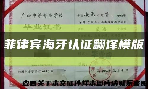 菲律宾海牙认证翻译模版缩略图