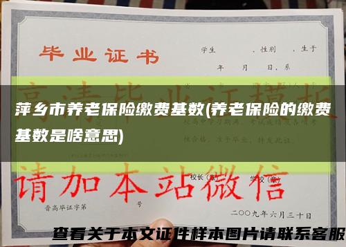萍乡市养老保险缴费基数(养老保险的缴费基数是啥意思)缩略图