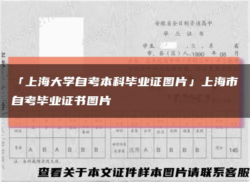 「上海大学自考本科毕业证图片」上海市自考毕业证书图片缩略图