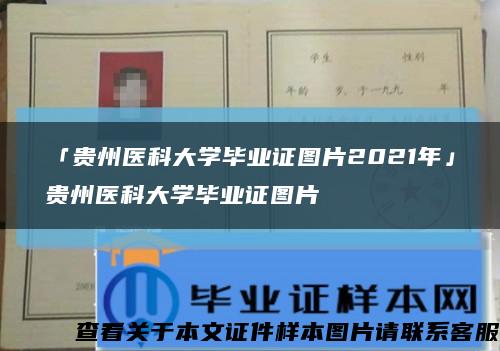 「贵州医科大学毕业证图片2021年」贵州医科大学毕业证图片缩略图