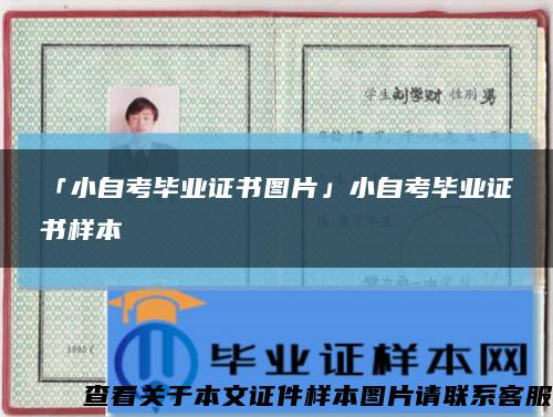 「小自考毕业证书图片」小自考毕业证书样本缩略图