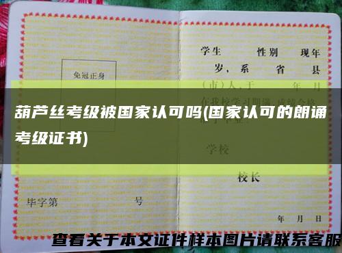 葫芦丝考级被国家认可吗(国家认可的朗诵考级证书)缩略图