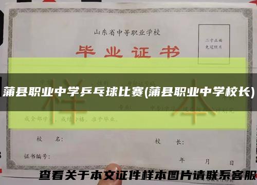 蒲县职业中学乒乓球比赛(蒲县职业中学校长)缩略图