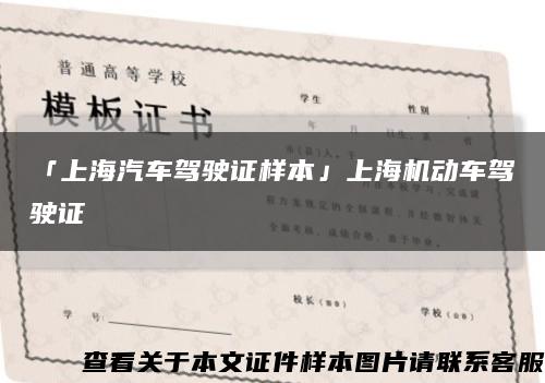 「上海汽车驾驶证样本」上海机动车驾驶证缩略图