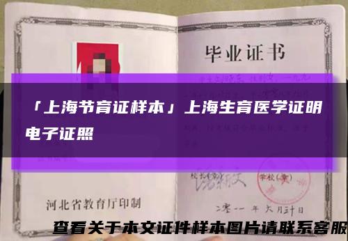 「上海节育证样本」上海生育医学证明电子证照缩略图