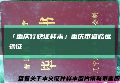 「重庆行驶证样本」重庆市道路运输证缩略图