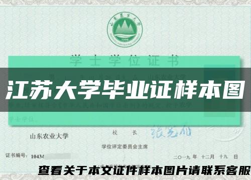 江苏大学毕业证样本图缩略图