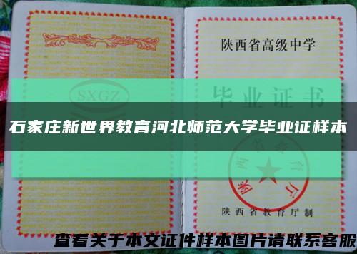 石家庄新世界教育河北师范大学毕业证样本缩略图