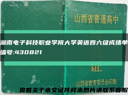 湖南电子科技职业学院大学英语四六级成绩单编号:430821缩略图