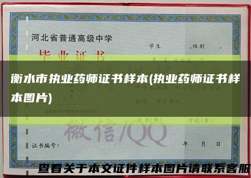 衡水市执业药师证书样本(执业药师证书样本图片)缩略图