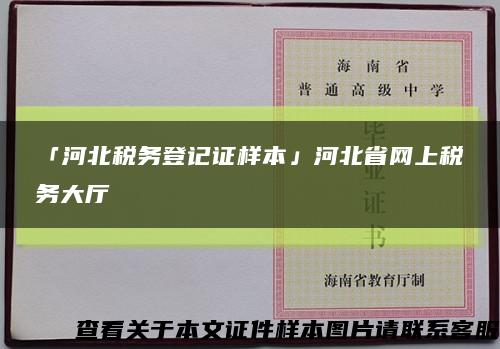 「河北税务登记证样本」河北省网上税务大厅缩略图