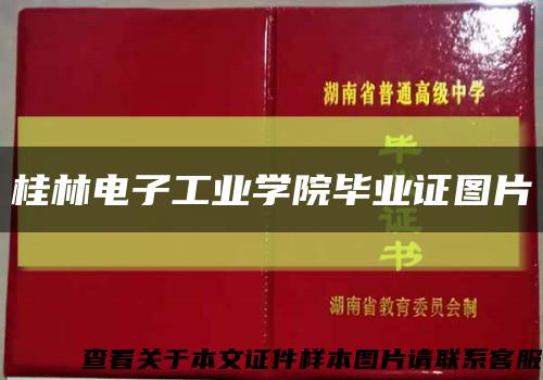 桂林电子工业学院毕业证图片缩略图