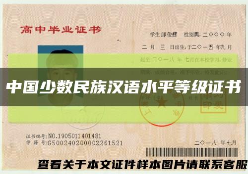 中国少数民族汉语水平等级证书缩略图