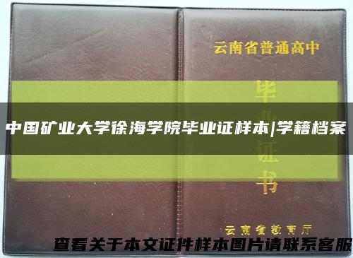 中国矿业大学徐海学院毕业证样本|学籍档案缩略图