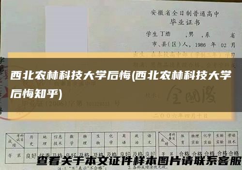 西北农林科技大学后悔(西北农林科技大学后悔知乎)缩略图