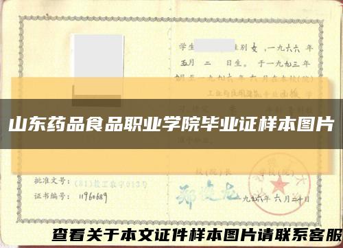 山东药品食品职业学院毕业证样本图片缩略图