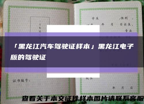 「黑龙江汽车驾驶证样本」黑龙江电子版的驾驶证缩略图