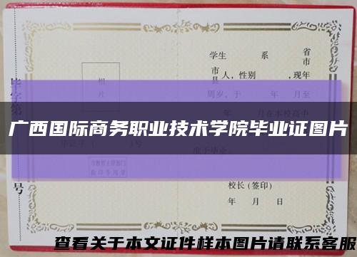 广西国际商务职业技术学院毕业证图片缩略图