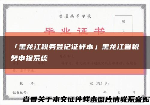 「黑龙江税务登记证样本」黑龙江省税务申报系统缩略图