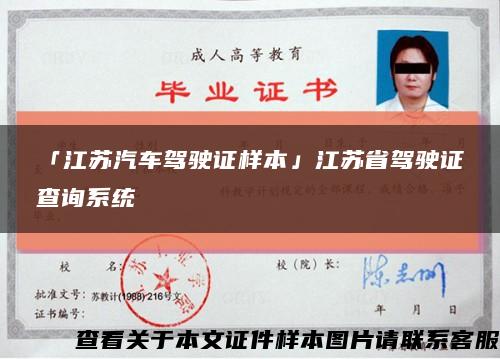 「江苏汽车驾驶证样本」江苏省驾驶证查询系统缩略图
