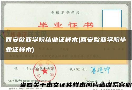 西安欧亚学院结业证样本(西安欧亚学院毕业证样本)缩略图