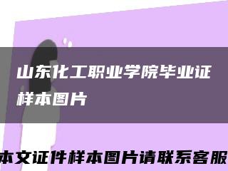 山东化工职业学院毕业证样本图片缩略图
