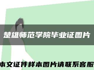 楚雄师范学院毕业证图片缩略图