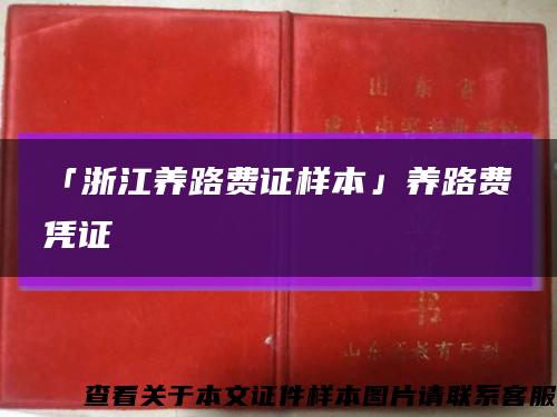 「浙江养路费证样本」养路费凭证缩略图