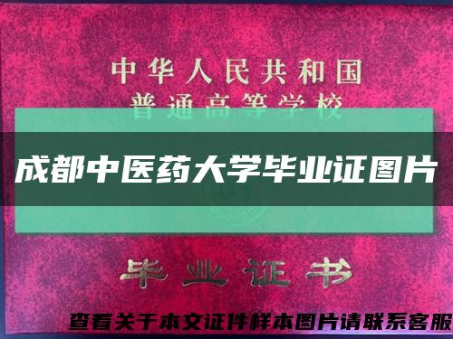 成都中医药大学毕业证图片缩略图