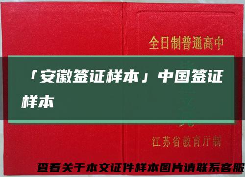 「安徽签证样本」中国签证样本缩略图