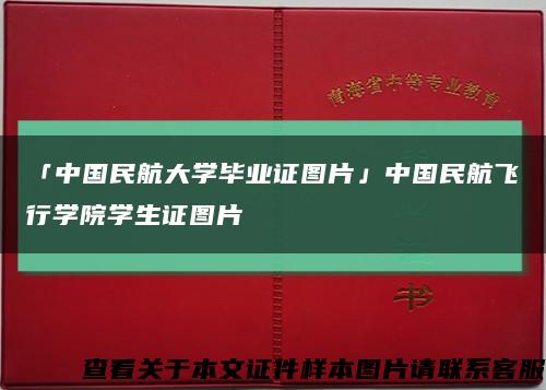 「中国民航大学毕业证图片」中国民航飞行学院学生证图片缩略图