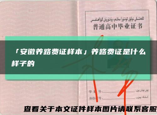 「安徽养路费证样本」养路费证是什么样子的缩略图