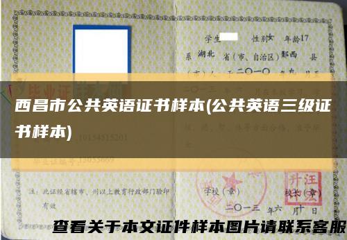 西昌市公共英语证书样本(公共英语三级证书样本)缩略图