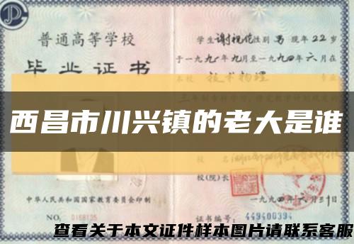 西昌市川兴镇的老大是谁缩略图