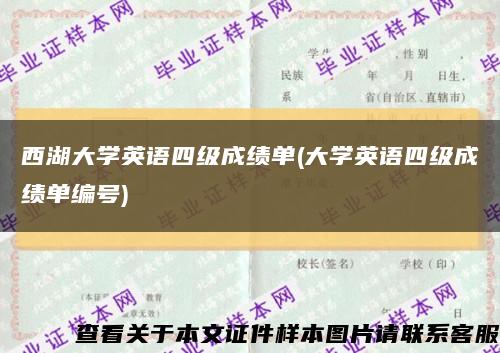 西湖大学英语四级成绩单(大学英语四级成绩单编号)缩略图
