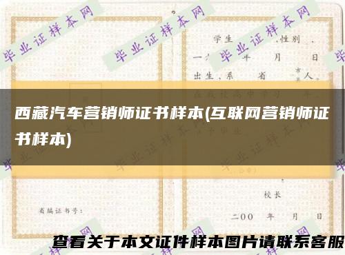 西藏汽车营销师证书样本(互联网营销师证书样本)缩略图