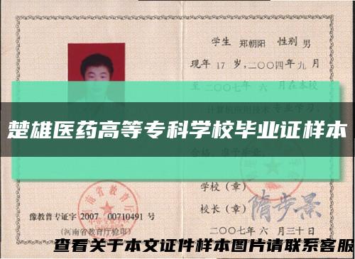 楚雄医药高等专科学校毕业证样本缩略图