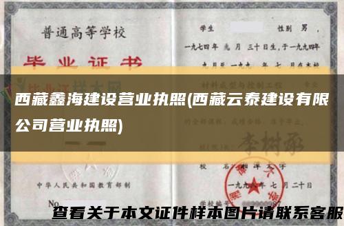 西藏鑫海建设营业执照(西藏云泰建设有限公司营业执照)缩略图