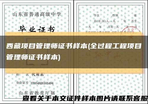 西藏项目管理师证书样本(全过程工程项目管理师证书样本)缩略图