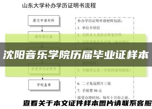 沈阳音乐学院历届毕业证样本缩略图