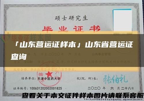 「山东营运证样本」山东省营运证查询缩略图