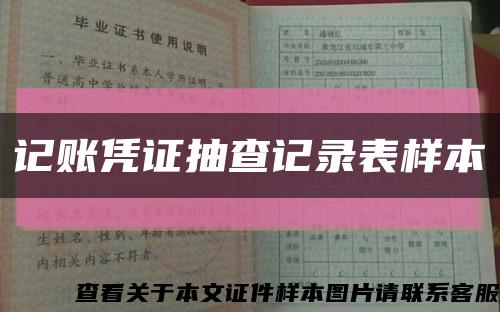 记账凭证抽查记录表样本缩略图