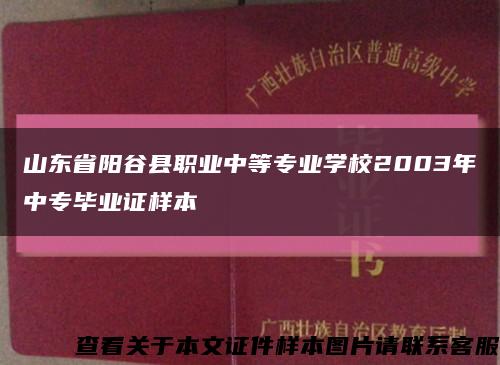 山东省阳谷县职业中等专业学校2003年中专毕业证样本缩略图