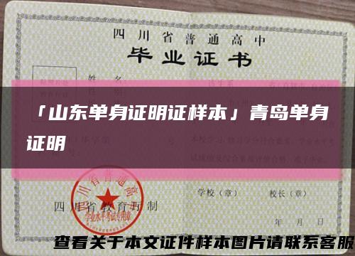 「山东单身证明证样本」青岛单身证明缩略图