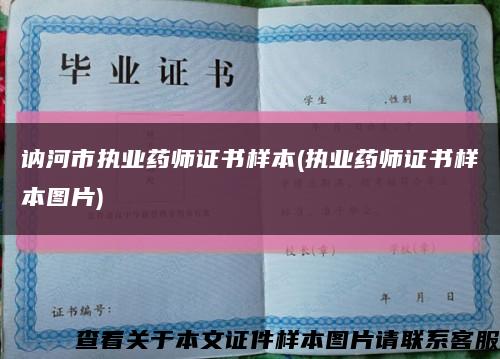 讷河市执业药师证书样本(执业药师证书样本图片)缩略图