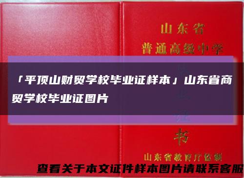 「平顶山财贸学校毕业证样本」山东省商贸学校毕业证图片缩略图
