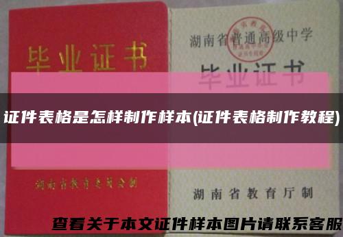 证件表格是怎样制作样本(证件表格制作教程)缩略图